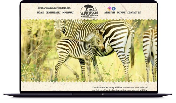 African Wildlife Courses